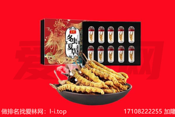 定西回收虫草.jpg